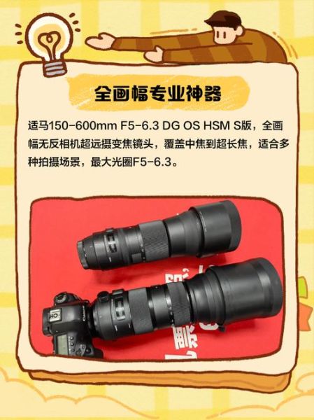 适马镜头编号怎么看_适马镜头生产日期查询-第2张图片-星辰妙记