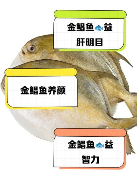 孕妇可以吃金鲳鱼吗_金鲳鱼营养价值与禁忌-第1张图片-星辰妙记 孕妇可以吃金鲳鱼吗_金鲳鱼营养价值与禁忌-第1张图片-星辰妙记