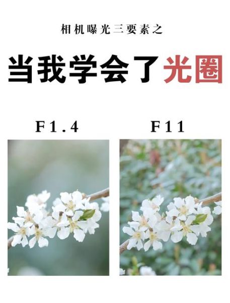 什么是恒定光圈_恒定光圈和浮动光圈区别-第2张图片-星辰妙记