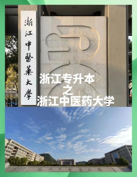 杭州中医药大学怎么样_杭州中医药大学录取分数线-第3张图片-星辰妙记 杭州中医药大学怎么样_杭州中医药大学录取分数线-第3张图片-星辰妙记
