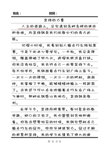 坚持自己的原则作文怎么写_为什么坚持原则很重要-第1张图片-星辰妙记