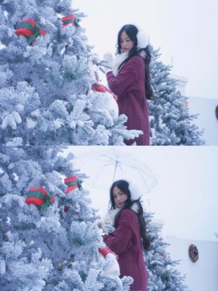 饼干头镜头是什么_饼干头镜头适合拍什么-第3张图片-星辰妙记