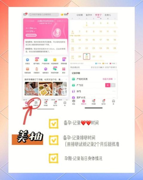 孕妇软件哪个好用_孕妇软件安全吗-第1张图片-星辰妙记