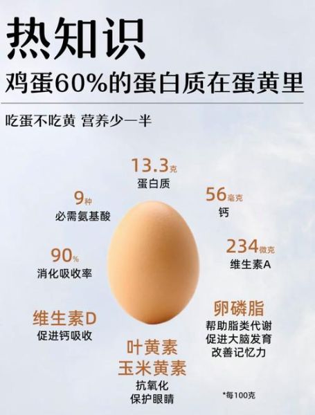 孕妇可以每天吃一个鸡蛋吗_孕妇一天吃几个鸡蛋合适-第2张图片-星辰妙记