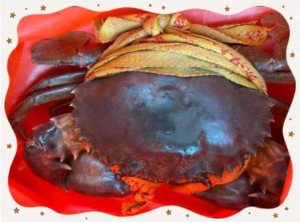 孕妇可以吃蚰蠓吗_蚰蠓对孕妇的影响-第3张图片-星辰妙记