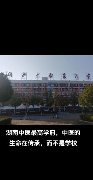 湖南中医药大学地址在哪里_湖南中医药大学怎么去-第1张图片-星辰妙记