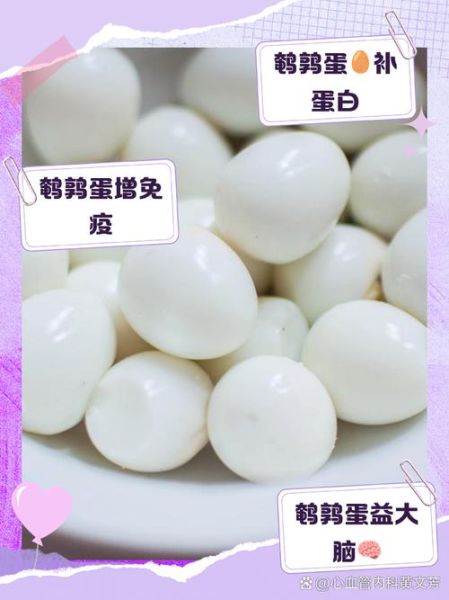 孕妇一天可以吃几个鹌鹑蛋_鹌鹑蛋对孕妇的好处-第1张图片-星辰妙记
