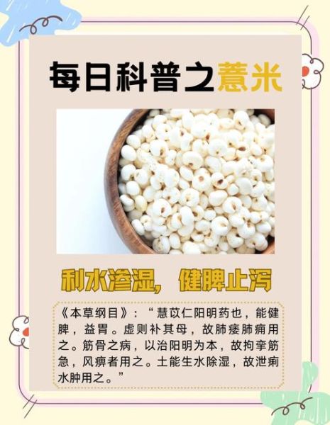 孕妇可以吃薏仁吗_薏仁米孕期禁忌-第1张图片-星辰妙记