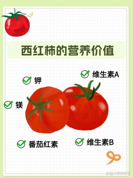 孕妇能吃番茄吗_番茄对胎儿有什么好处-第2张图片-星辰妙记 孕妇能吃番茄吗_番茄对胎儿有什么好处-第2张图片-星辰妙记