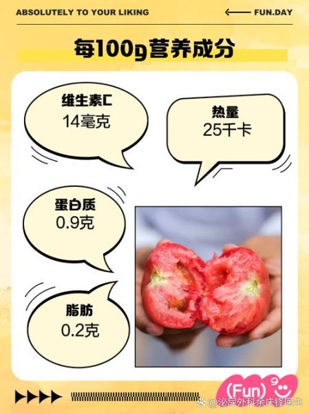 孕妇能吃番茄吗_番茄对胎儿有什么好处-第3张图片-星辰妙记 孕妇能吃番茄吗_番茄对胎儿有什么好处-第3张图片-星辰妙记