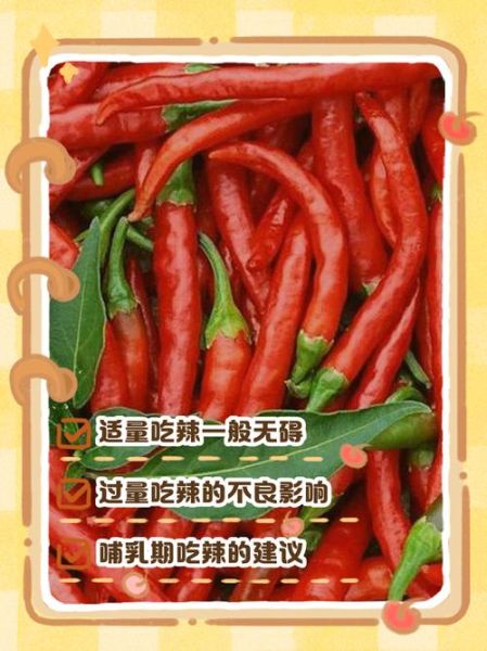 孕妇能吃辣椒吗_怀孕吃辣对胎儿有影响吗-第2张图片-星辰妙记
