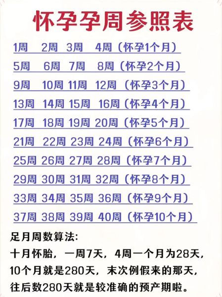 孕妇表怎么看_孕妇表怎么算孕周-第1张图片-星辰妙记