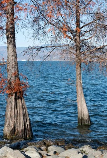 旅游摄影镜头推荐_怎么选-第2张图片-星辰妙记