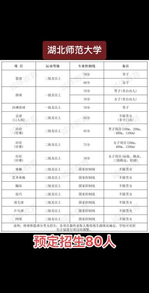 湖北师范大学教务处_如何查询成绩-第2张图片-星辰妙记