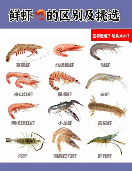 孕妇可以吃生虾吗_孕期吃生虾的风险-第3张图片-星辰妙记