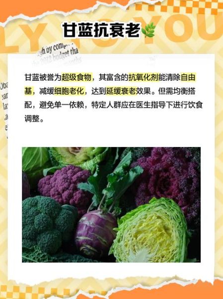 孕妇可以吃甘蓝吗_甘蓝对胎儿有影响吗-第1张图片-星辰妙记