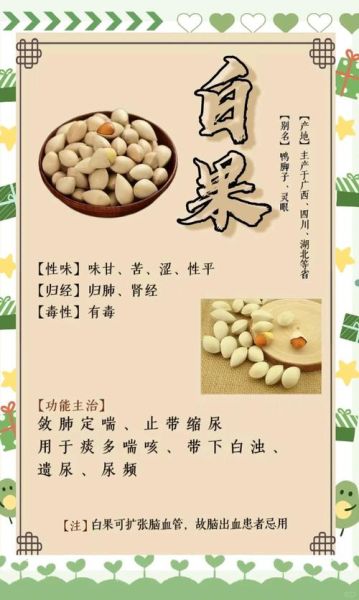 孕妇可以吃白果吗_白果对孕妇的影响-第1张图片-星辰妙记