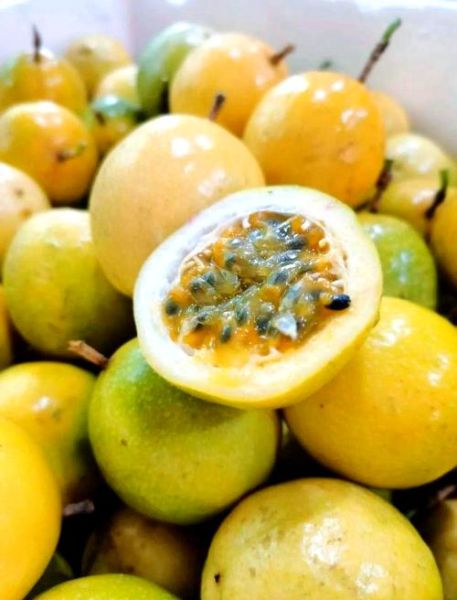 孕妇可以喝百香果水吗_百香果水对胎儿有影响吗-第1张图片-星辰妙记