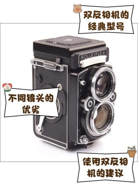 禄来老镜头值得买吗_禄来镜头画质怎么样-第3张图片-星辰妙记