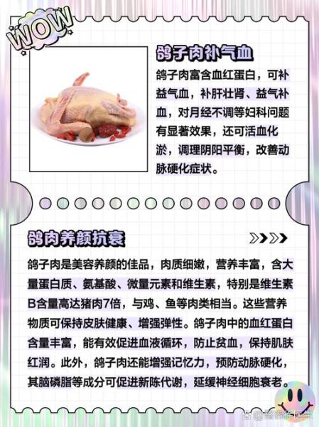 孕妇可以吃鸽子吗_孕妇吃鸽子汤的好处-第2张图片-星辰妙记