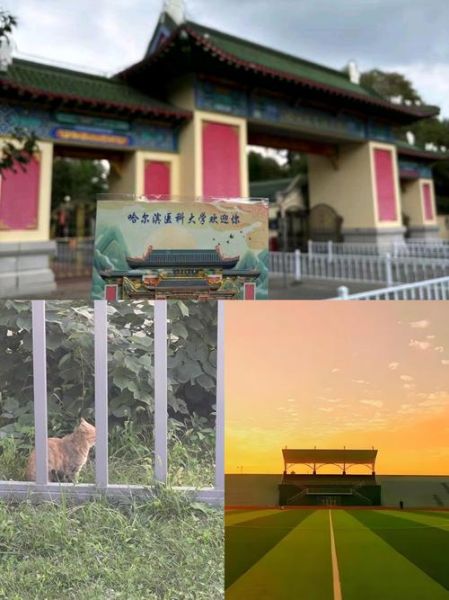 哈尔滨医科大学怎么样_哈尔滨医科大学值得报考吗-第1张图片-星辰妙记