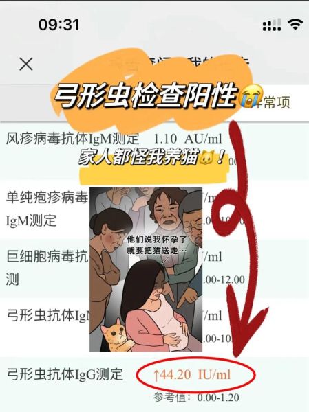 孕妇感染弓形虫的症状_对胎儿有什么影响-第1张图片-星辰妙记