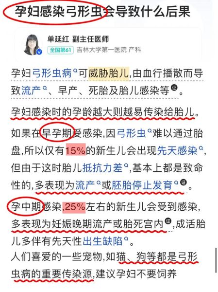 孕妇感染弓形虫的症状_对胎儿有什么影响-第2张图片-星辰妙记