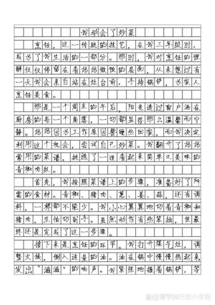 作文300字大全_如何写300字作文-第1张图片-星辰妙记