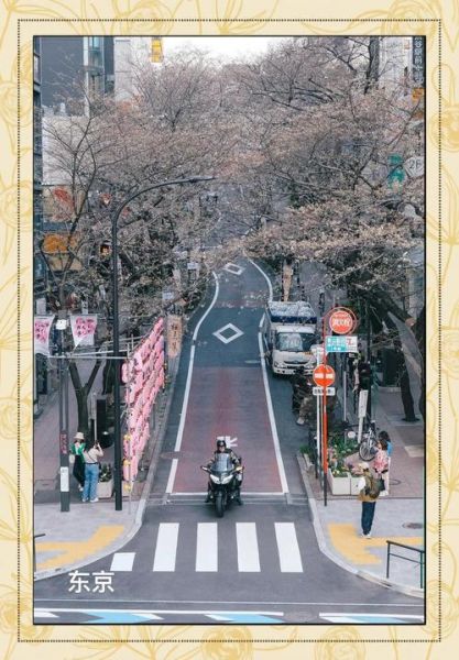 日影镜头是什么_如何拍出电影感-第1张图片-星辰妙记