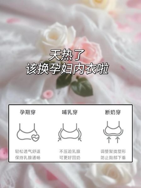 孕妇内衣怎么选_孕妇内衣什么时候穿-第2张图片-星辰妙记