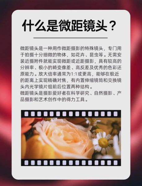 微距镜头怎么选_最佳微距镜头推荐-第1张图片-星辰妙记 微距镜头怎么选_最佳微距镜头推荐-第1张图片-星辰妙记