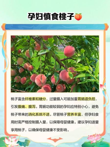 孕妇可以吃桃子吗_孕期吃桃子的好处与禁忌-第1张图片-星辰妙记