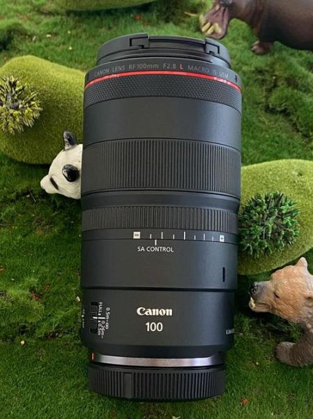 佳能微焦镜头怎么选_佳能微距镜头推荐-第3张图片-星辰妙记