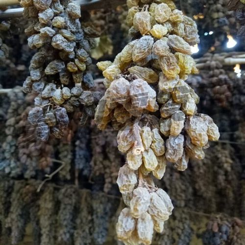 孕妇可以吃葡萄干吗_孕期吃葡萄干对胎儿好吗-第2张图片-星辰妙记