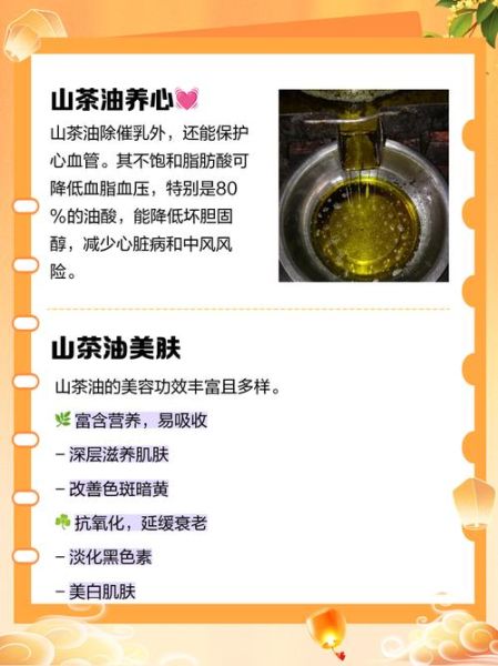 孕妇可以吃茶油吗_孕期吃茶油对胎儿好吗-第2张图片-星辰妙记