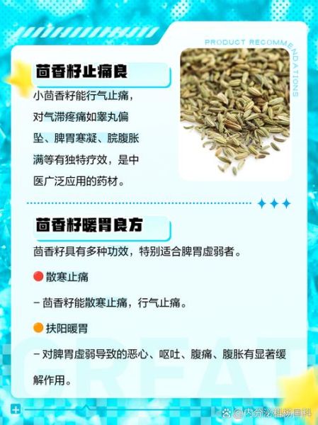 孕妇可以吃茴香吗_孕期吃茴香籽安全吗-第1张图片-星辰妙记