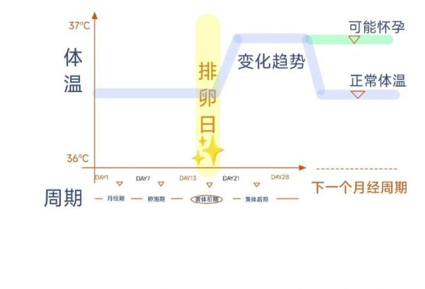 孕妇体温偏低正常吗_孕妇体温偏低对胎儿有影响吗-第2张图片-星辰妙记