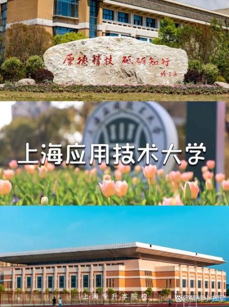 上海应用技术大学怎么样_上海应用技术大学专业排名-第3张图片-星辰妙记
