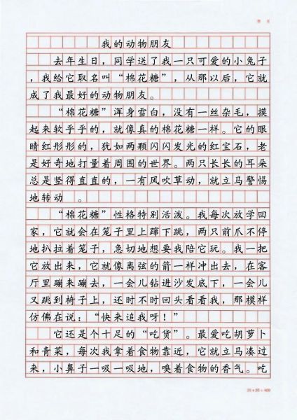 四年级四单元作文怎么写_四年级四单元作文写什么-第1张图片-星辰妙记