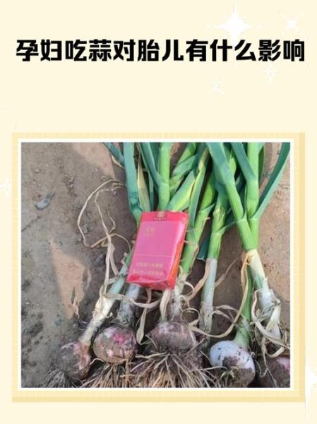 孕妇可以吃葱吗_孕期吃葱对胎儿有影响吗-第2张图片-星辰妙记