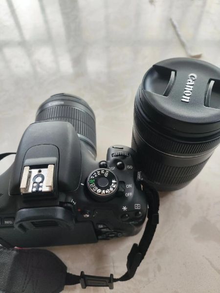 佳能600定焦镜头值得买吗_适合拍什么题材-第2张图片-星辰妙记