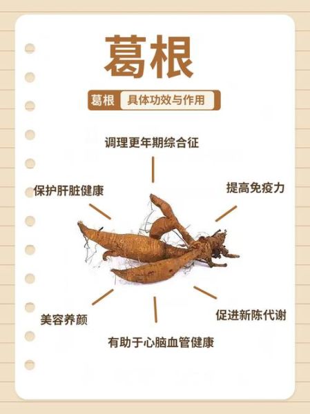 孕妇可以喝葛根粉吗_葛根粉对孕妇的副作用-第2张图片-星辰妙记