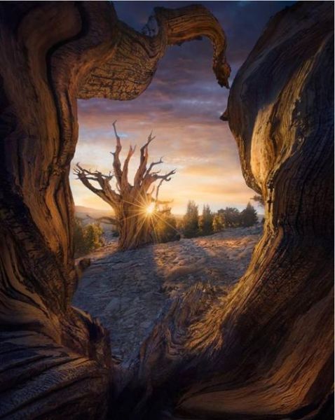 镜头冲击是什么_如何拍出震撼画面-第3张图片-星辰妙记