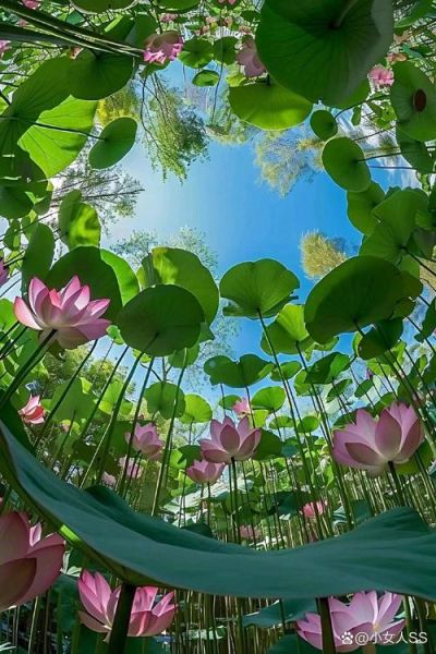 1755镜头适合拍什么_1755镜头画质怎么样-第2张图片-星辰妙记 1755镜头适合拍什么_1755镜头画质怎么样-第2张图片-星辰妙记