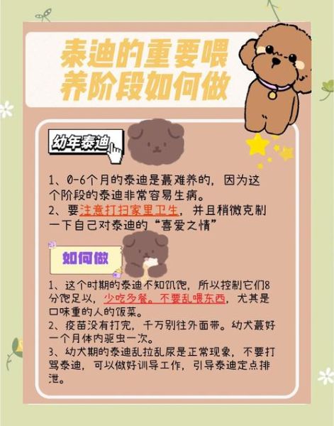孕妇可以养泰迪狗吗_孕期养泰迪注意事项-第3张图片-星辰妙记