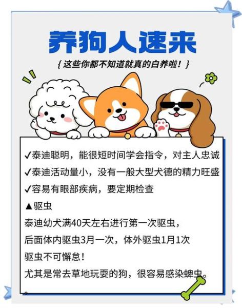 孕妇可以养泰迪狗吗_孕期养泰迪注意事项-第2张图片-星辰妙记