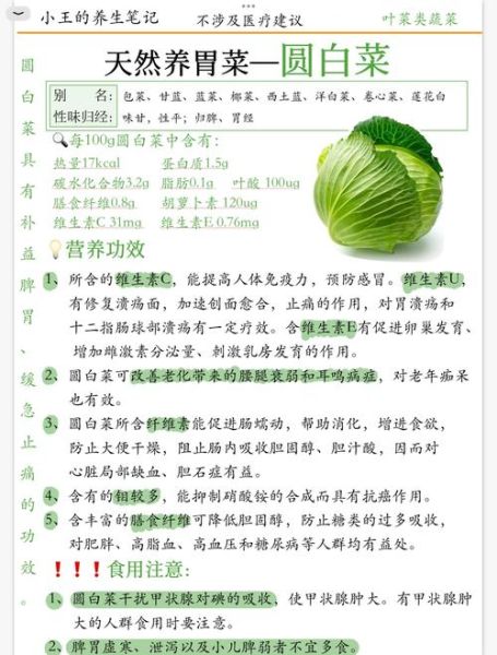 孕妇能吃圆白菜吗_圆白菜对胎儿有影响吗-第1张图片-星辰妙记 孕妇能吃圆白菜吗_圆白菜对胎儿有影响吗-第1张图片-星辰妙记
