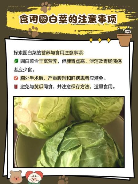孕妇能吃圆白菜吗_圆白菜对胎儿有影响吗-第3张图片-星辰妙记 孕妇能吃圆白菜吗_圆白菜对胎儿有影响吗-第3张图片-星辰妙记
