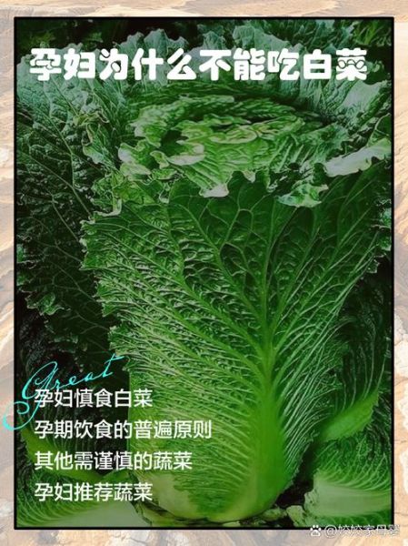 孕妇能吃圆白菜吗_圆白菜对胎儿有影响吗-第2张图片-星辰妙记 孕妇能吃圆白菜吗_圆白菜对胎儿有影响吗-第2张图片-星辰妙记
