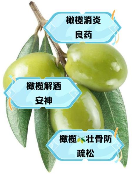 孕妇能吃橄榄吗_孕期吃橄榄的好处与禁忌-第1张图片-星辰妙记